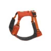Ruffwear Hi & Light Harness -Outdoor Equipment Series Store 1534 453905 0 image 992376 1