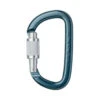 Petzl Am'D Locking Carabiner 2 Petzl Am'D Locking Carabiner -Outdoor Equipment Series Store AMD SCREW LOCK M34ASL N A