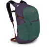 Daylite Plus -Outdoor Equipment Series Store dayltpluss21 f22 side axogreenenchantmentpurple 1
